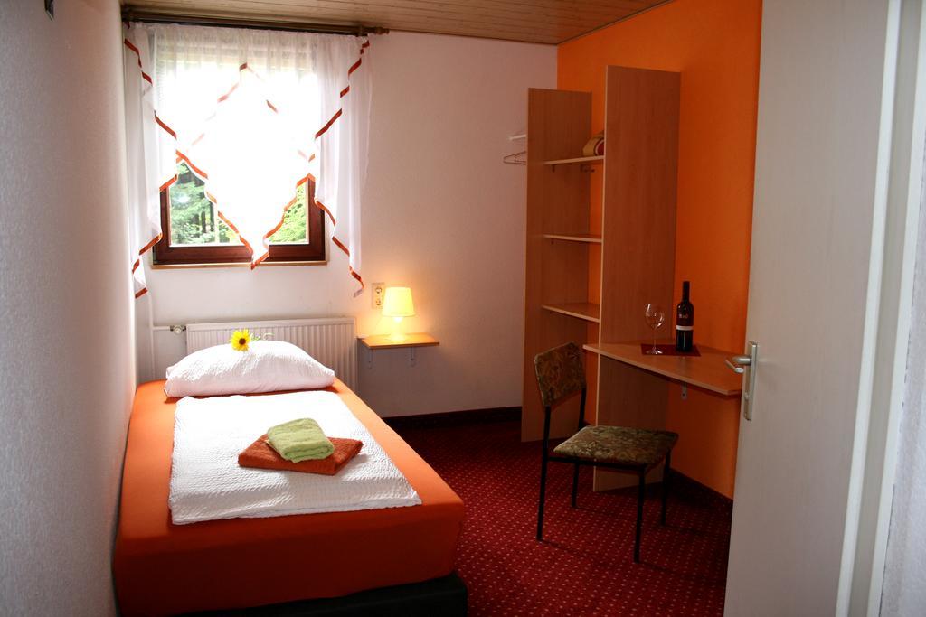 Pension Waldschanke Geyer Camera foto